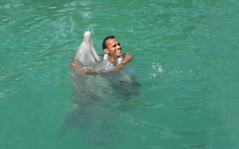 Man Hugs Dolphin and Smiling