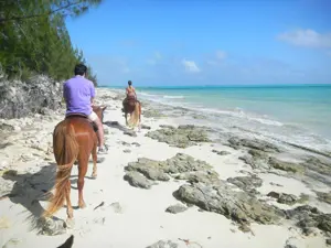 Two Persons Riding Horses at Beach side
